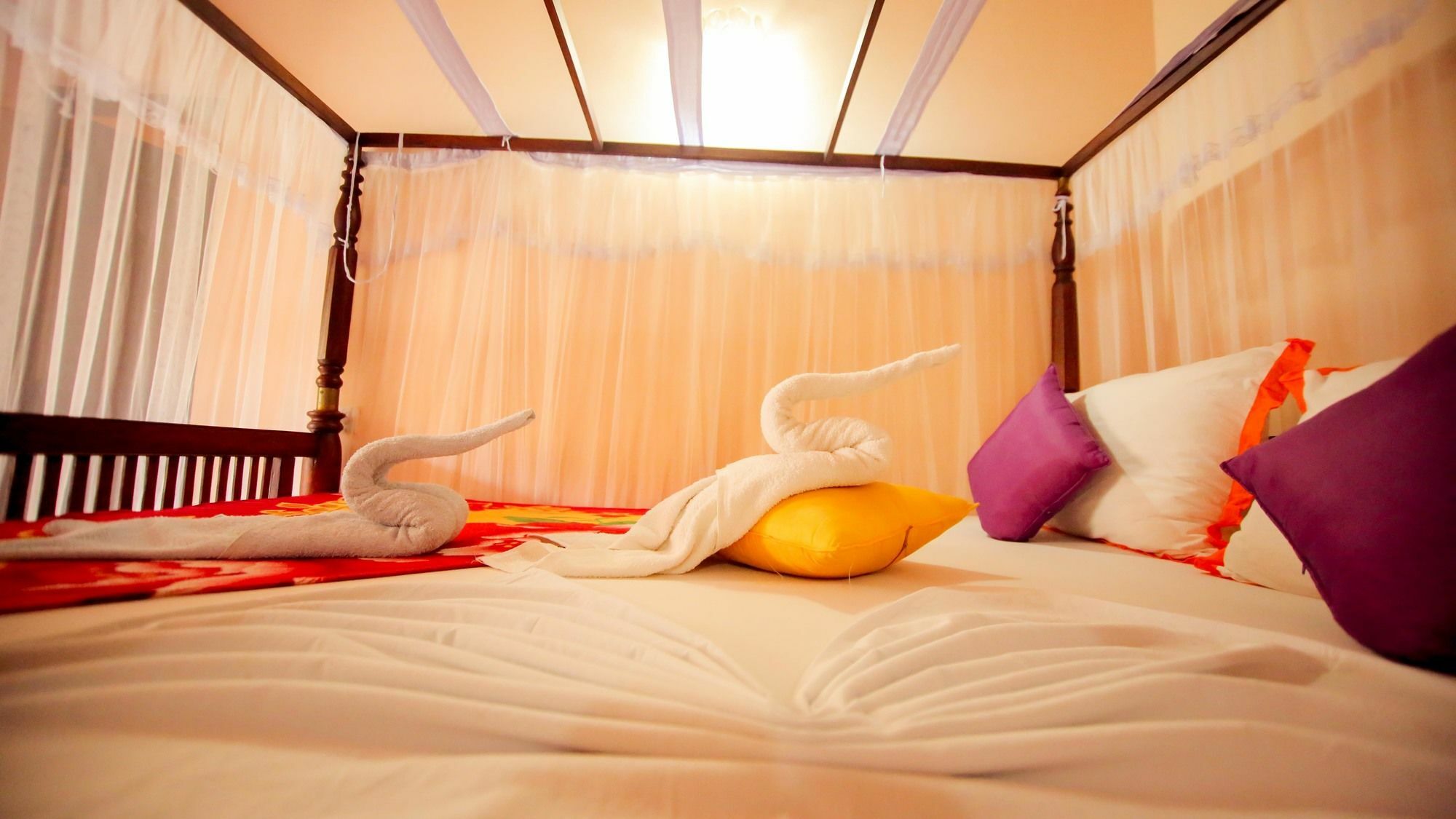Frangipani motel Galle Esterno foto